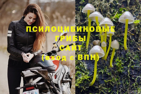 марки nbome Алексин