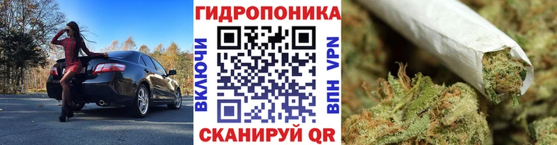 ОМГ ОМГ как войти  купить   Задонск  Бошки Шишки Bruce Banner 